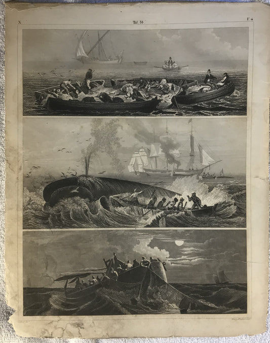 Iconographic Engravings – The Fine Arts (1851) Pêche de la Baleine, Whale-Fishery. Maritime