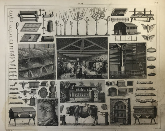 Iconographic Engravings – The Fine Arts (1851)  Farm Stables Barn Insect Larvae Pests, Farmhouse Home Decor