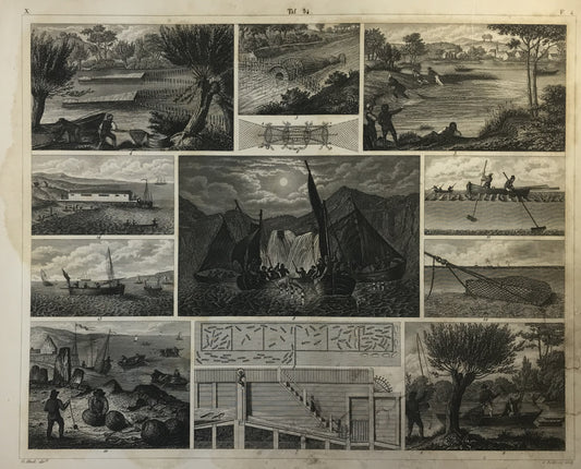 Iconographic Engravings – The Fine Arts (1851) Marine Life, Fishing and maritime