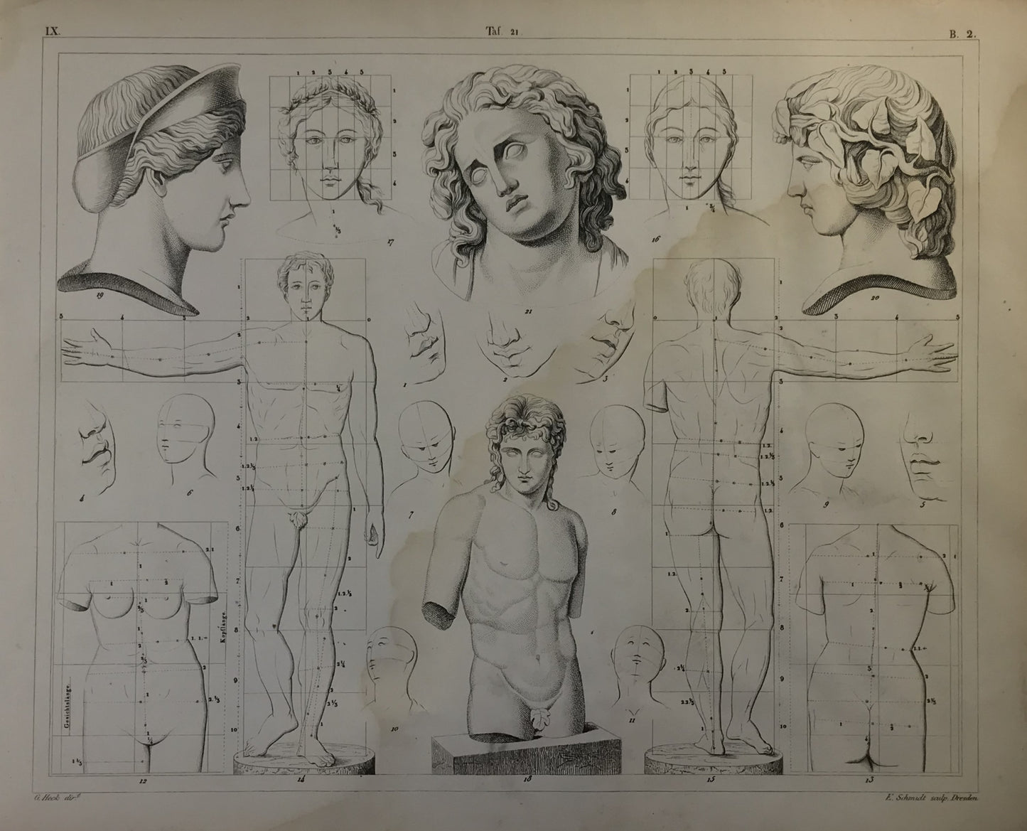 Iconographic Engravings – The Fine Arts (1851) Renaissance and Classical Study - Human Proportions and Sculptural Heads