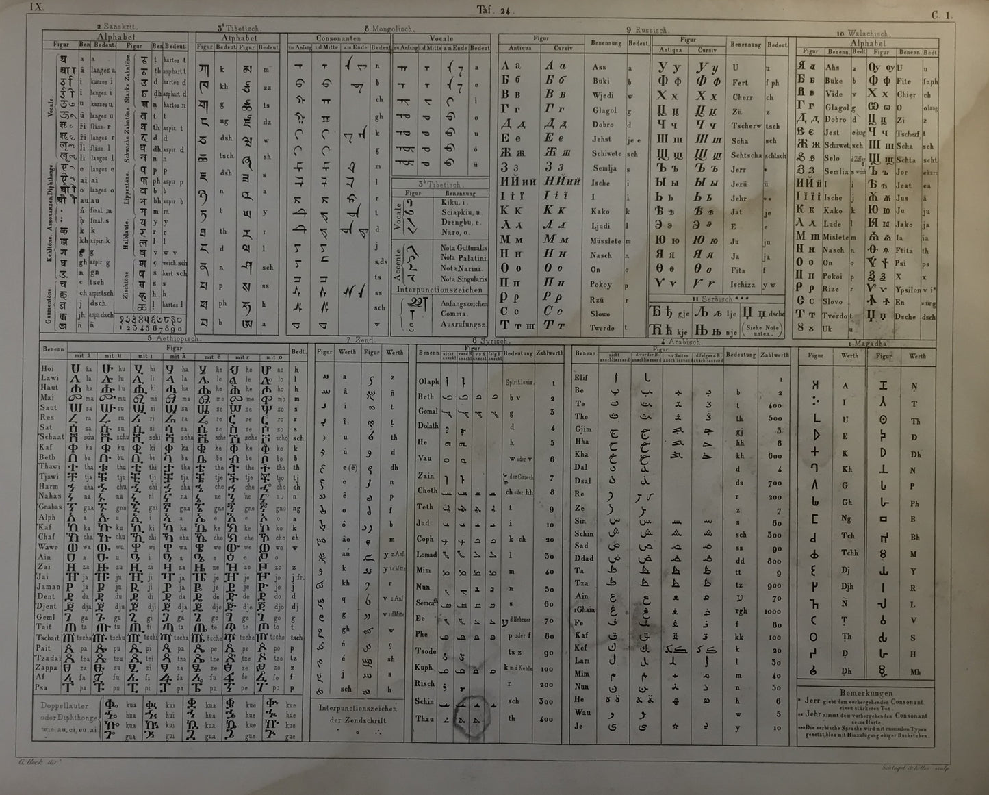 Iconographic Engravings – The Fine Arts (1851)  "Table of Ancient Alphabets and Scripts, Part II" - Rare 19th