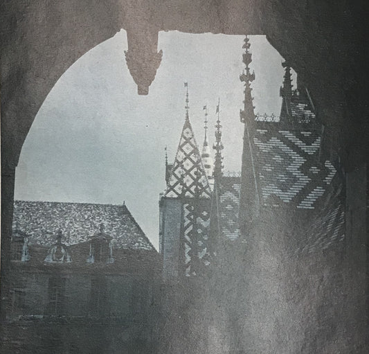 Vintage Architectural Print - "Roofs" Gothic Cathedral and Decorative Roof Tile