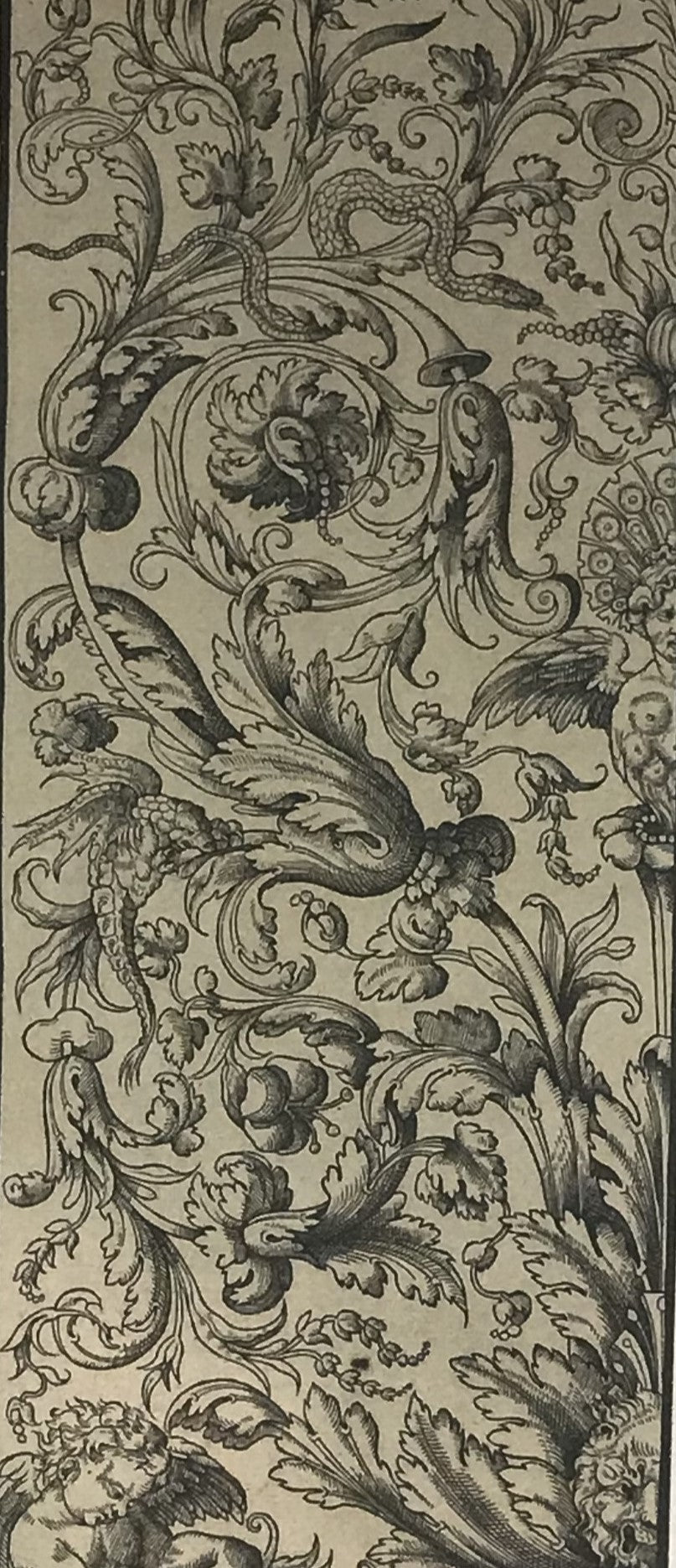 Ornate German Design - Classical Floral Engraving - German Engraving by P. Hille - "Design Motif" Numbered 10/495