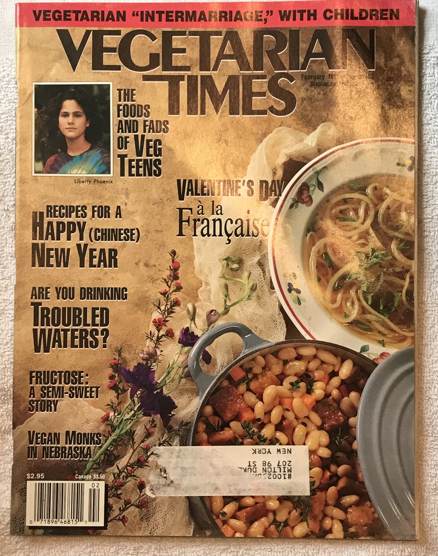 Vegetarian Times February 199  Magazine