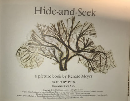 Hide-and-Seek by Renate Meyer