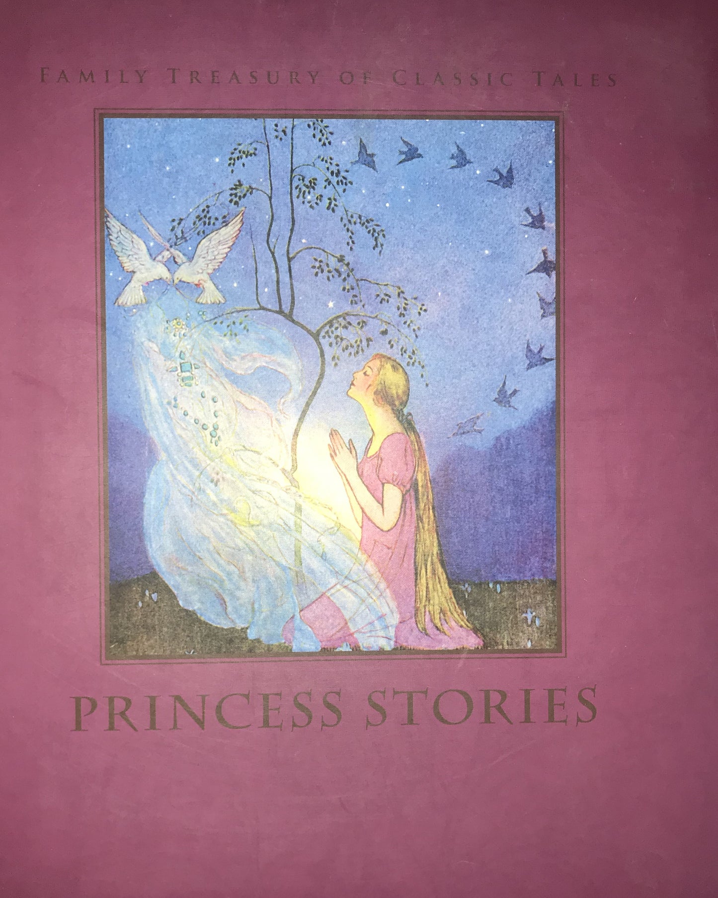 Princess Stories (Family Treasury of Classic Tales) by Stephanie Meyers