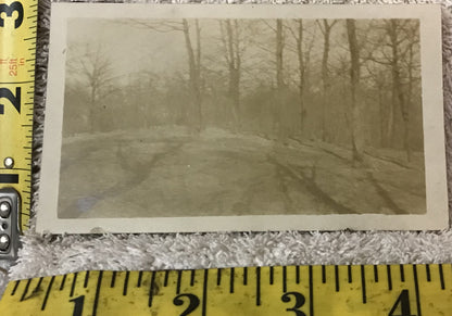 Vintage Sepia-Toned Landscape Photograph - Early 1900s