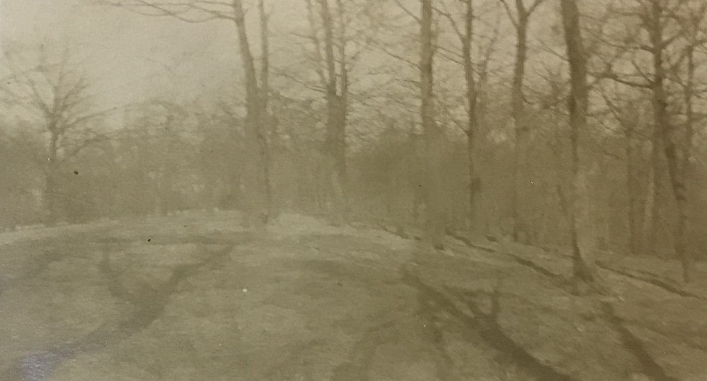 Vintage Sepia-Toned Landscape Photograph - Early 1900s