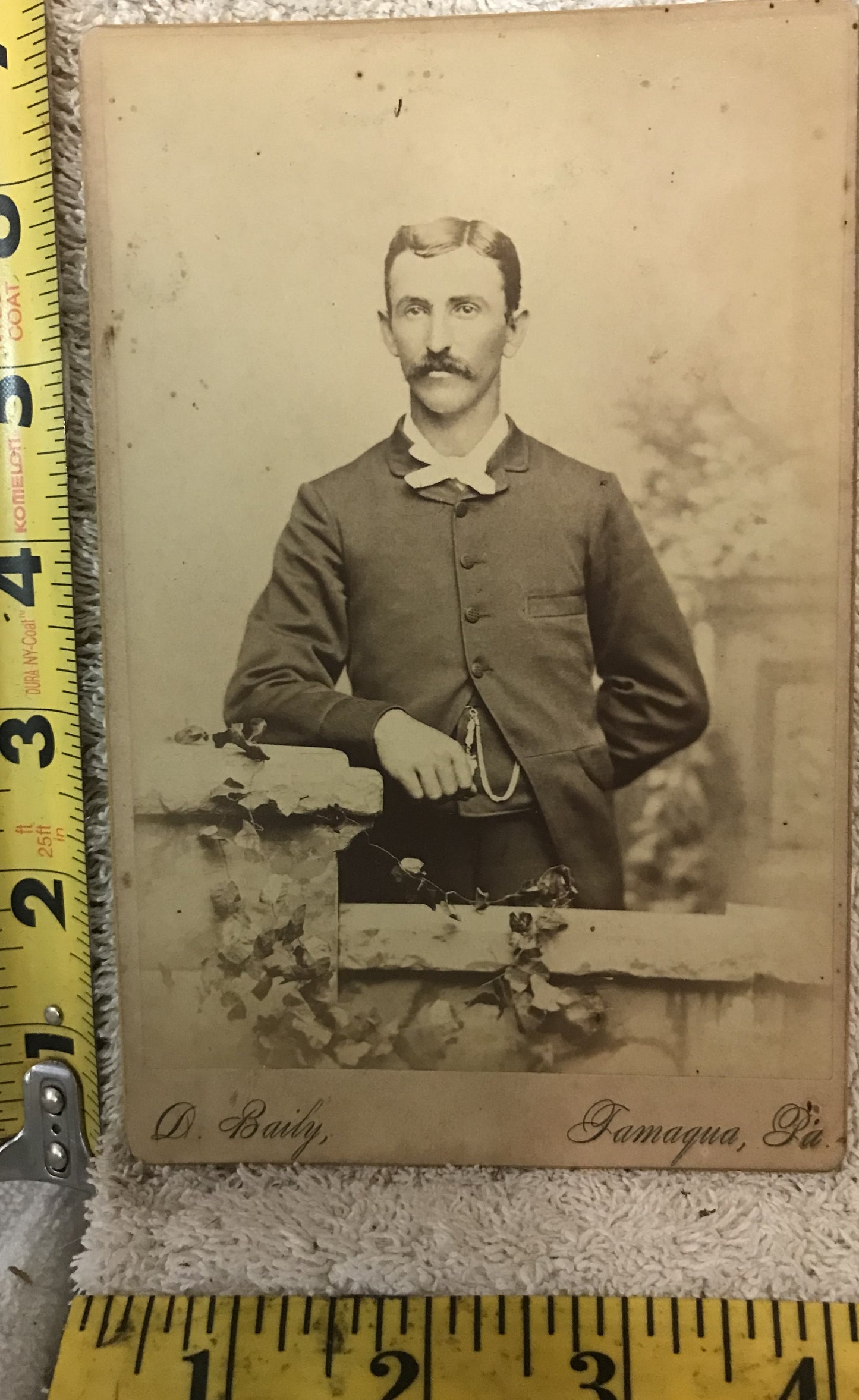 Antique Cabinet Card Portrait of a Gentleman - D. Baily, Tamaqua, PA