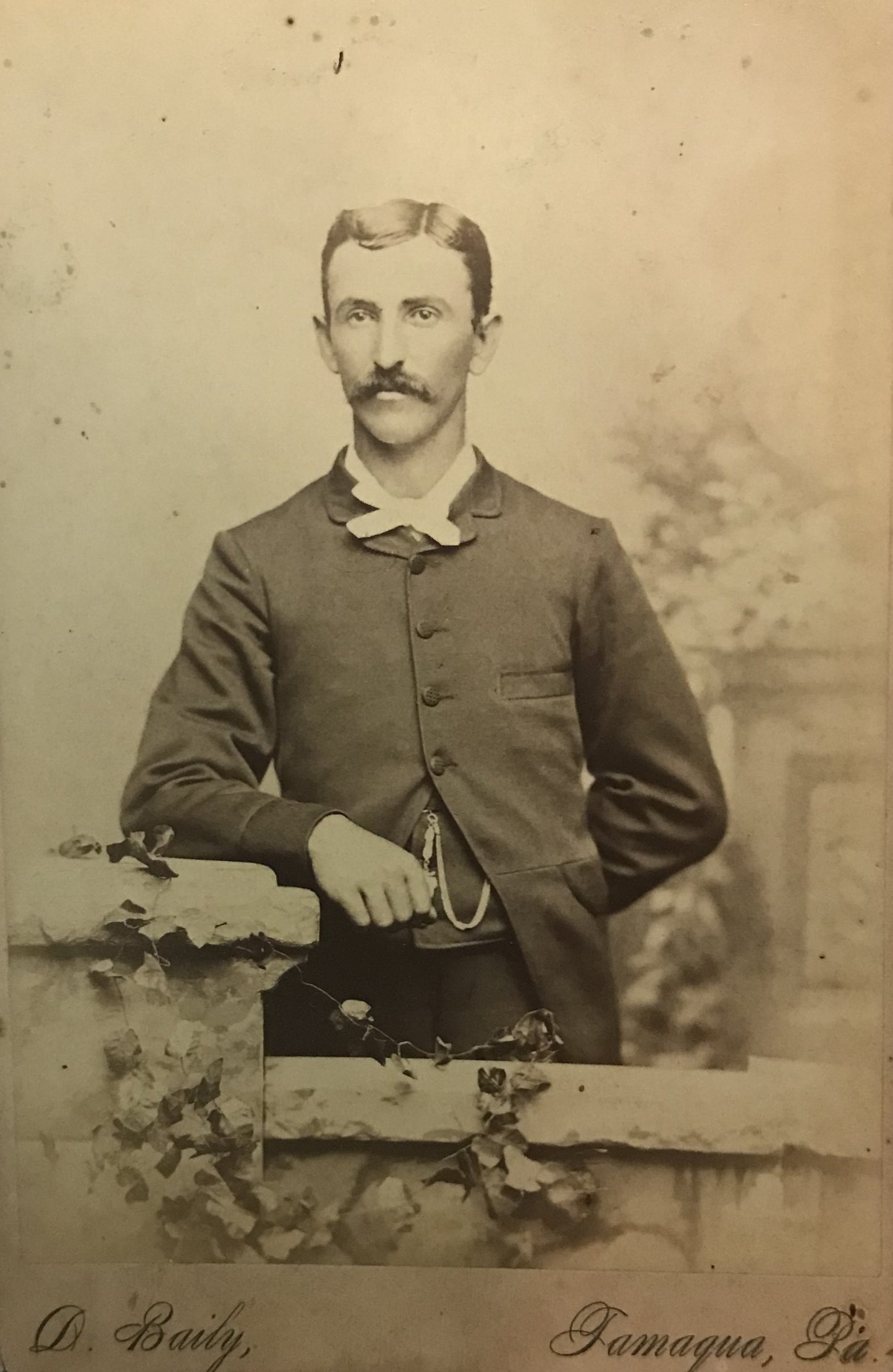 Antique Cabinet Card Portrait of a Gentleman - D. Baily, Tamaqua, PA