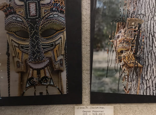 Beaded Mask Art Photography by Gwynn Popovac