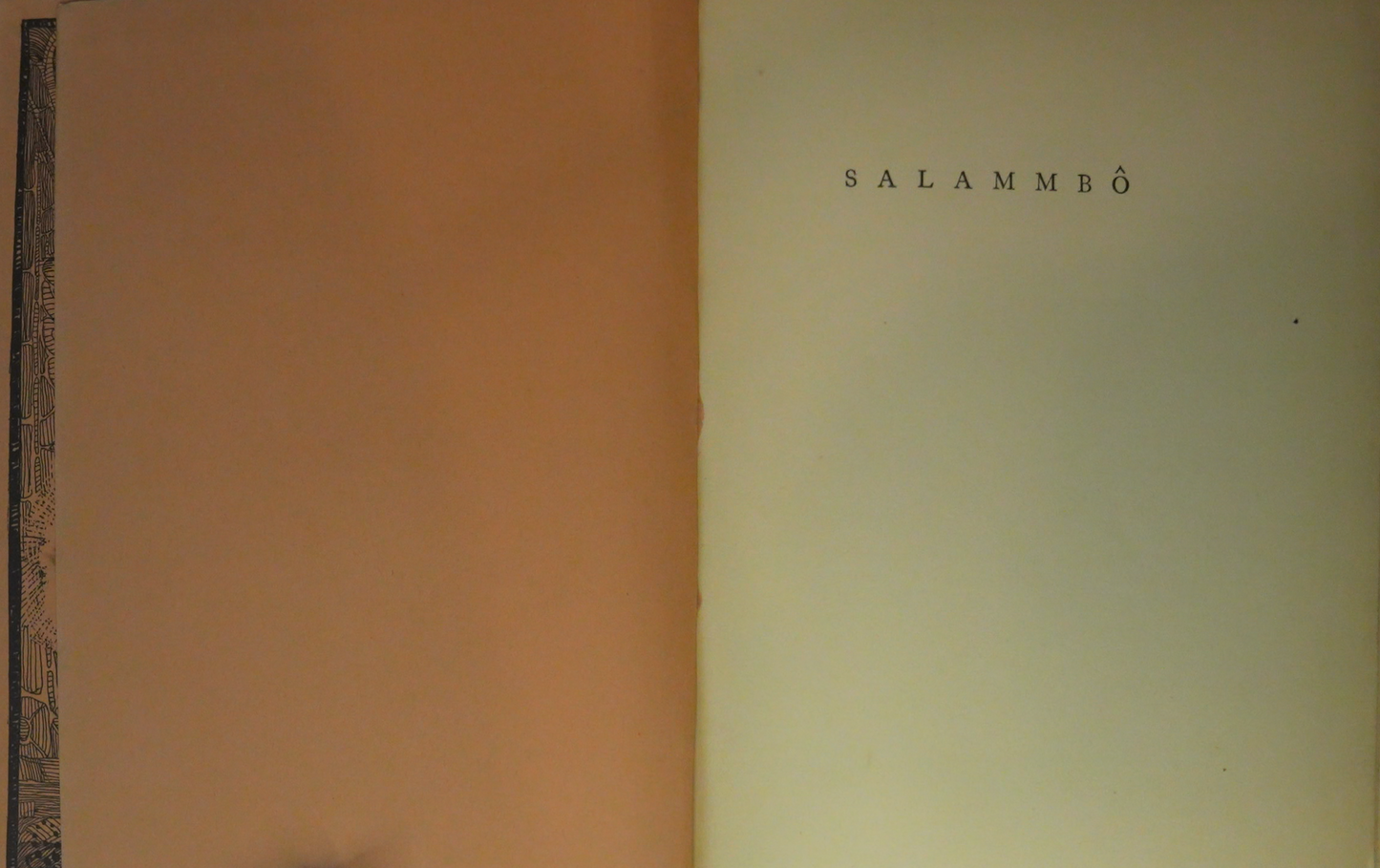 Salammbô by Gustave Flaubert, Illustrated by Mahlon Blaine (1927 Edition)